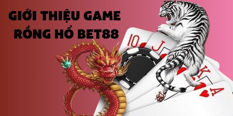 Giới thiệu sơ lược về Dragon Tiger tại Bet88